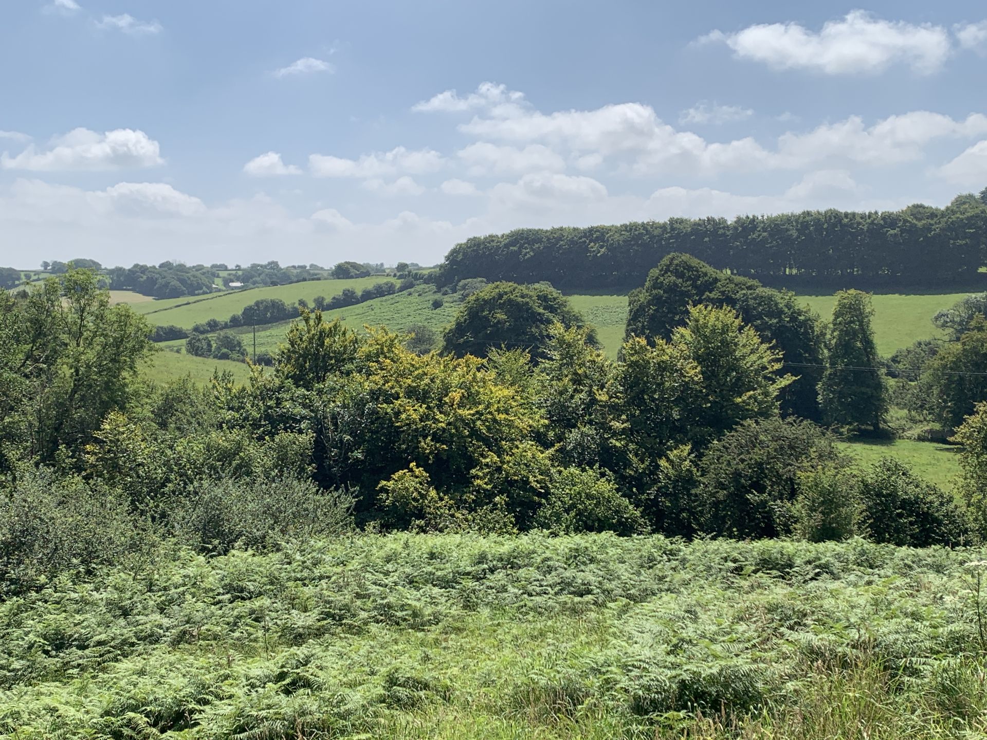 Panoramic view
